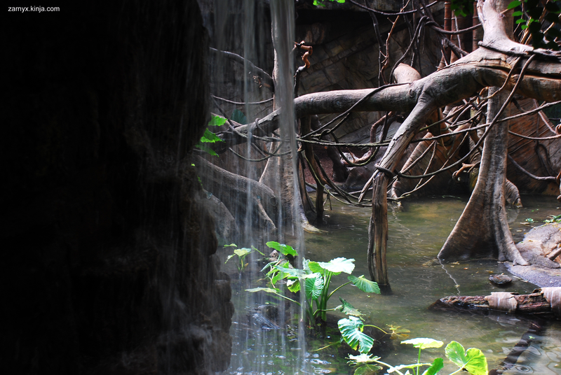 Illustration for article titled PhO-TAYGraphy Club: Water, Water, Everywhere